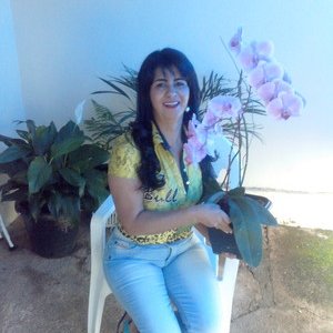 Pasinhabrasil