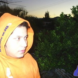 Luisgates